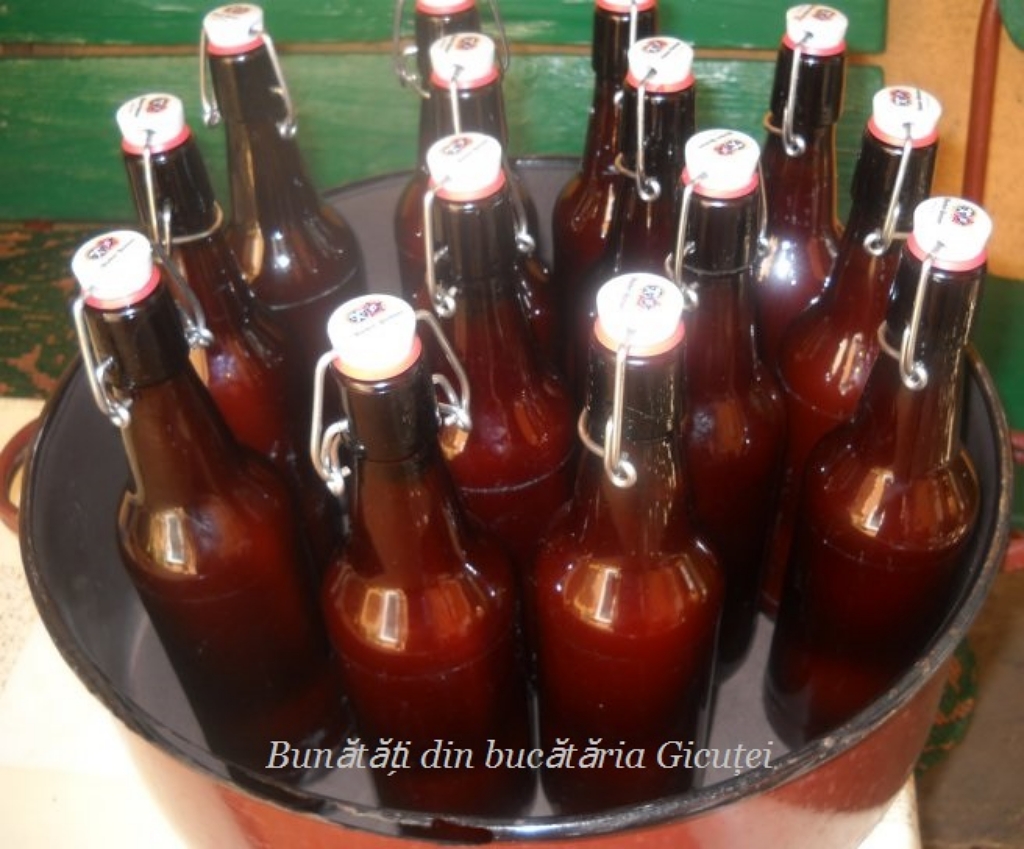 Suc De Rosii Pentru Iarna Buc t ria Gicu ei