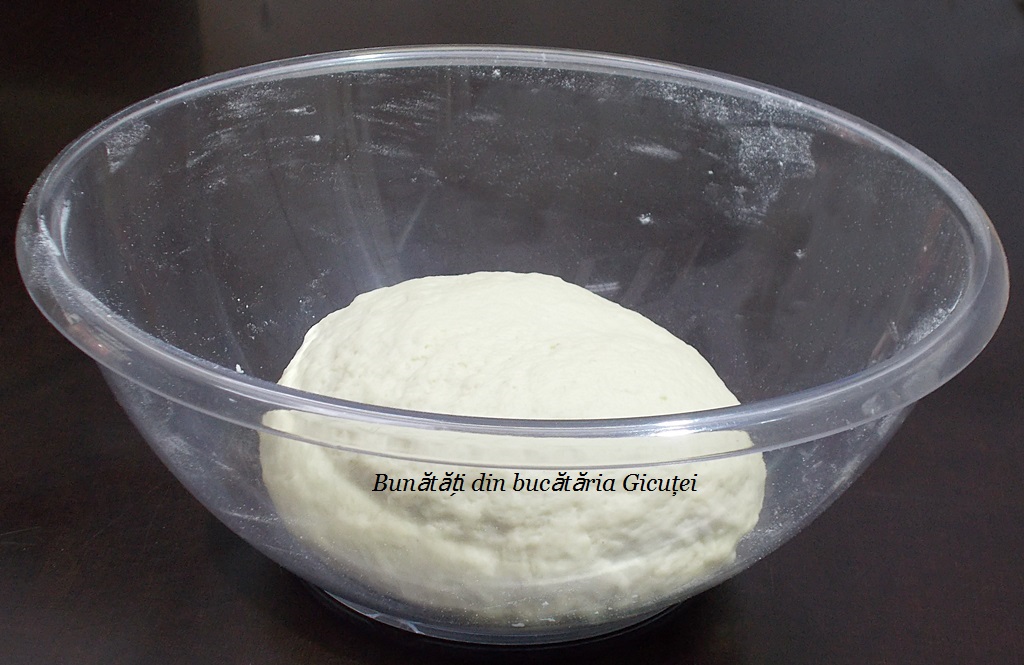 aluat pus la dospit