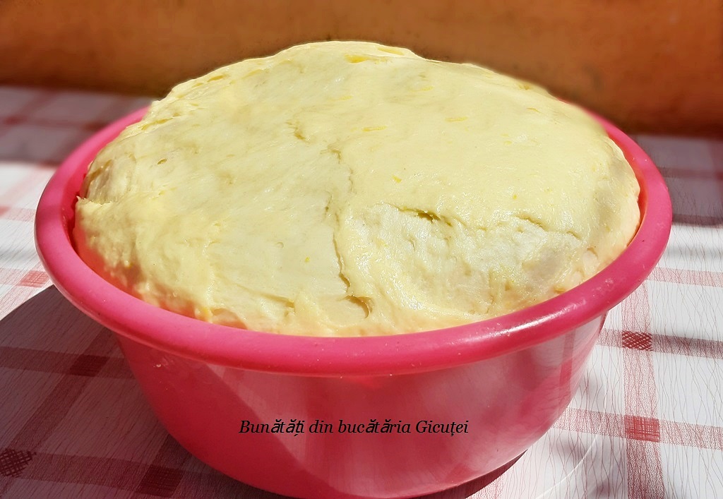 bolul cu aluatul oparit de cozonaci gata crescut