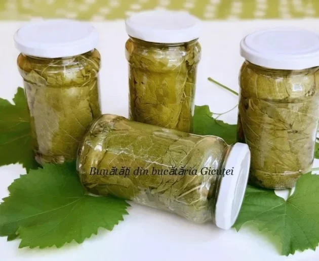 frunza de vita de vie la saramura