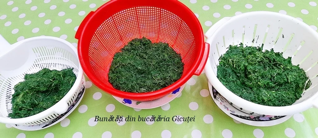 urzicile fierte lasate la scurs