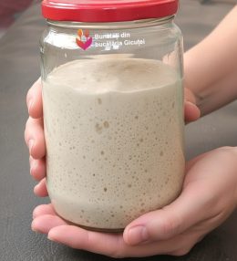 Maia naturală sau drojdie sălbatică