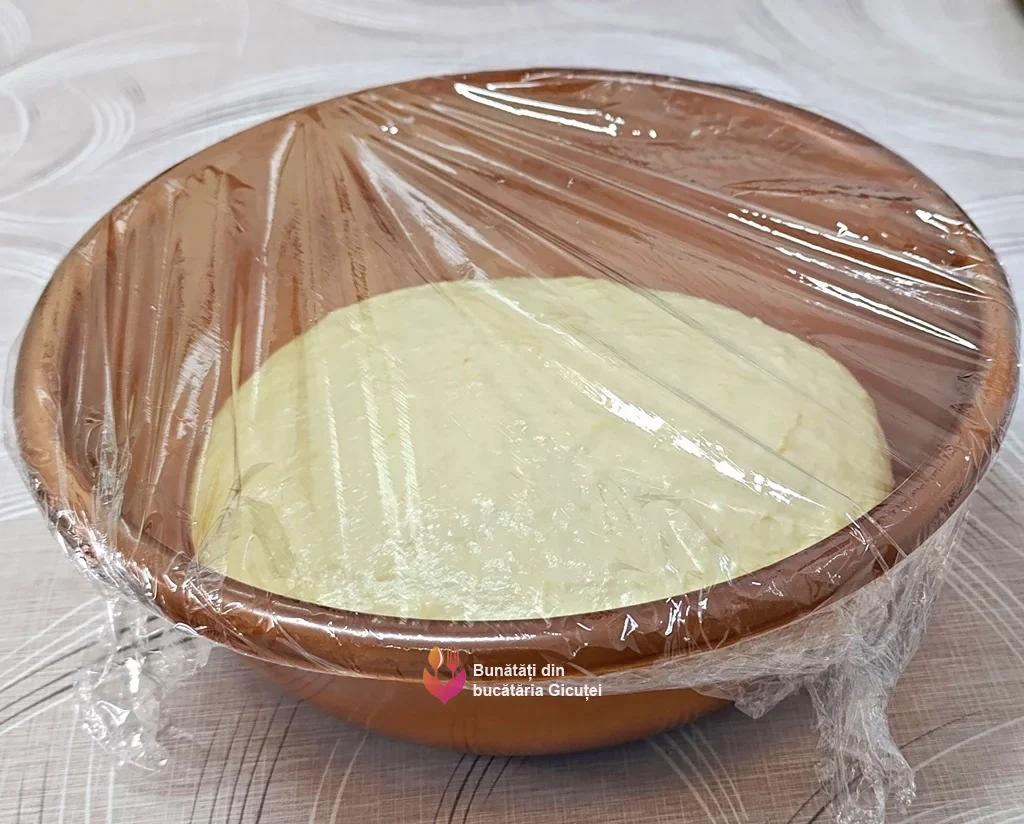 aluatul framantat lasat la dospit