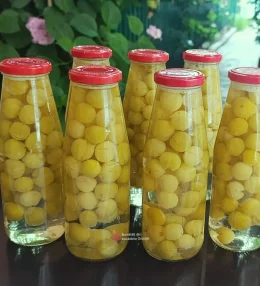 Corcodușe verzi la sticle sau borcane pentru iarnă